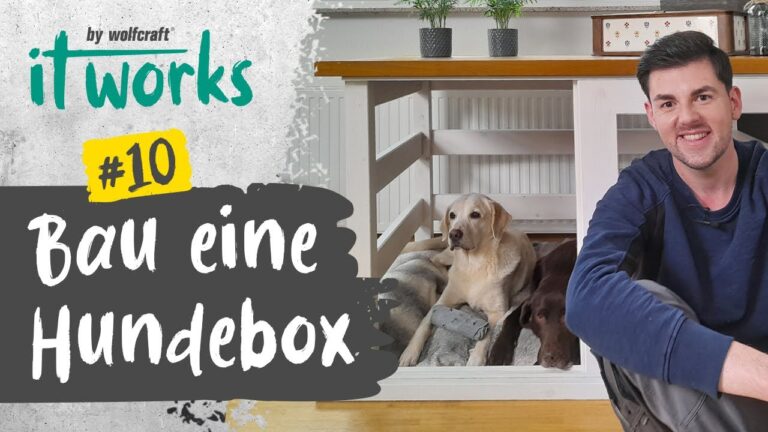 Hundebox im Wohnzimmer: Kreative DIY